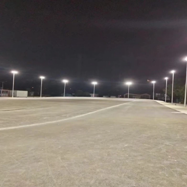 226131111 Addadad ya Afyele